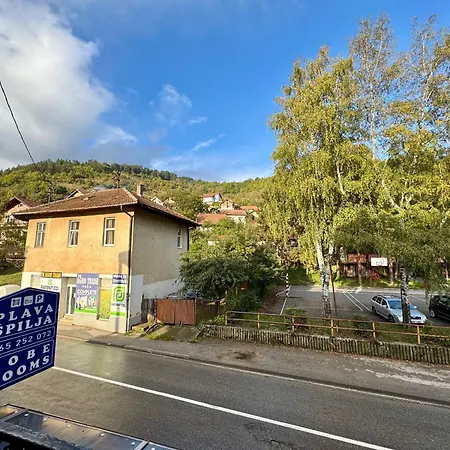 Plava Spilja-id * Foca