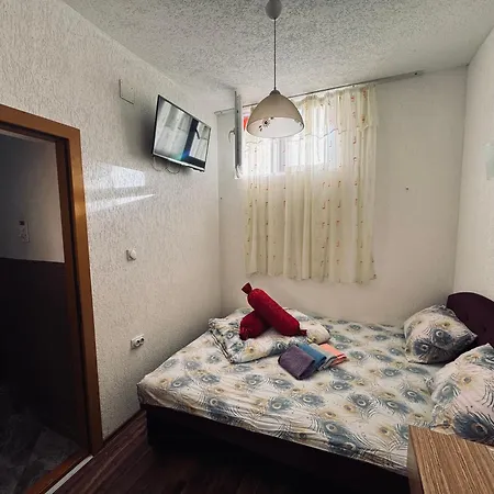 Plava Spilja-id * Foca