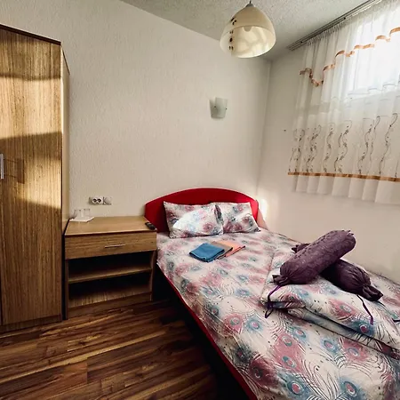 Plava Spilja-id * Foca